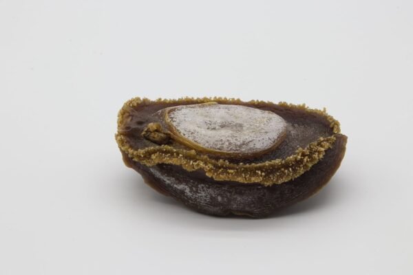 舊日本網鮑 (遠年舊貨)( 8-11頭 )