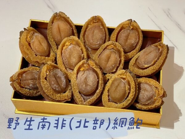 南非(北部) 野生網鮑(10-12頭)