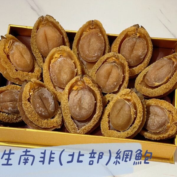 南非(北部) 野生網鮑(10-12頭)