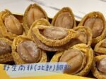 南非(北部) 野生網鮑(10-12頭)