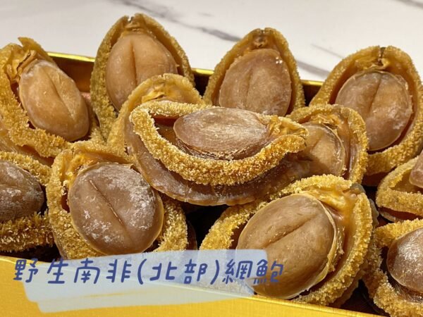 南非(北部) 野生網鮑(10-12頭)