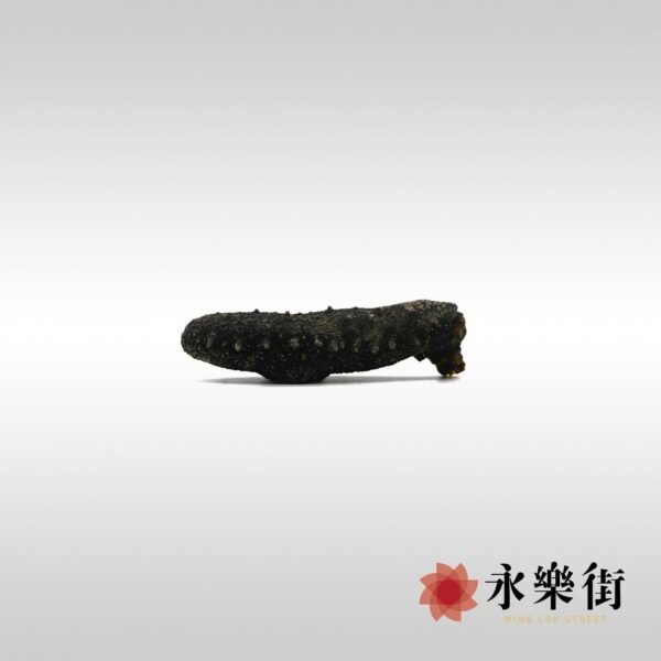 日本關西遼參 (25-30枝)