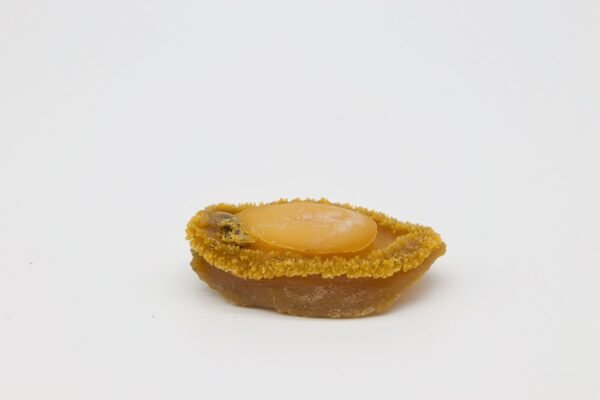 日本吉品鮑魚(32-36頭)