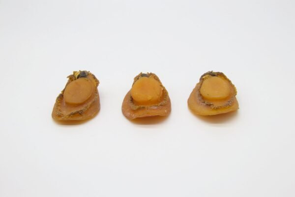 養殖吉品鮑 (33-35頭)