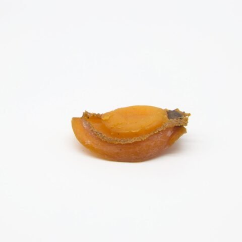 養殖吉品鮑 (33-35頭)