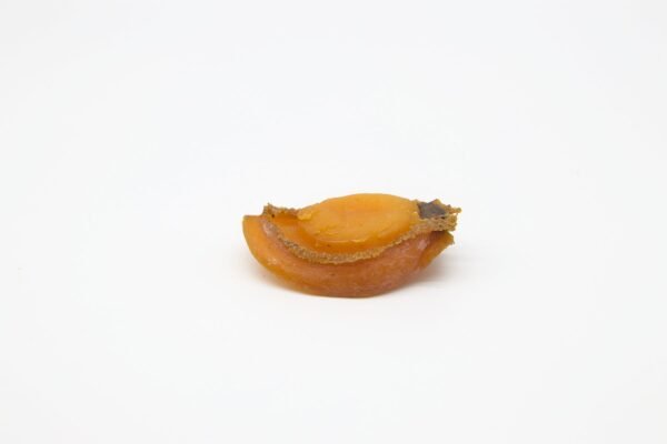 養殖吉品鮑 (33-35頭)