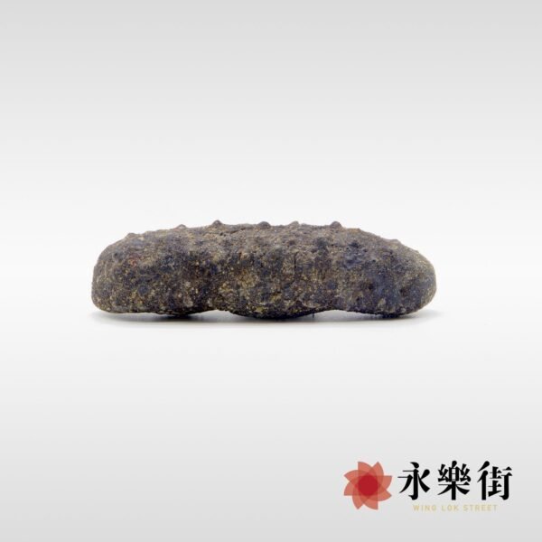 日本關西遼參 40-50 枝