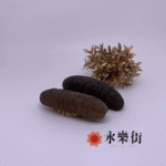 澳洲禿參11-13枝