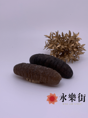 澳洲禿參11-13枝