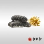 非洲特大禿參 (5-7枝)
