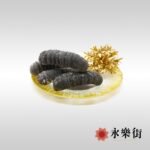 非洲特大禿參 (5-7枝)