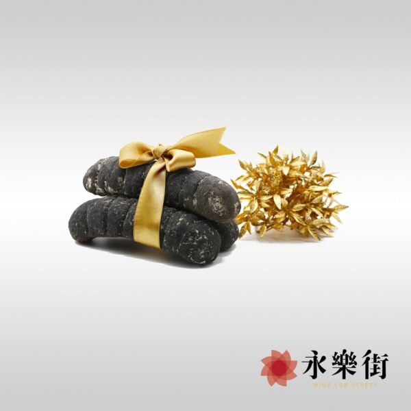 非洲特大禿參 (5-7枝)