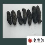 日本關西遼參 ( 80-120 支 )