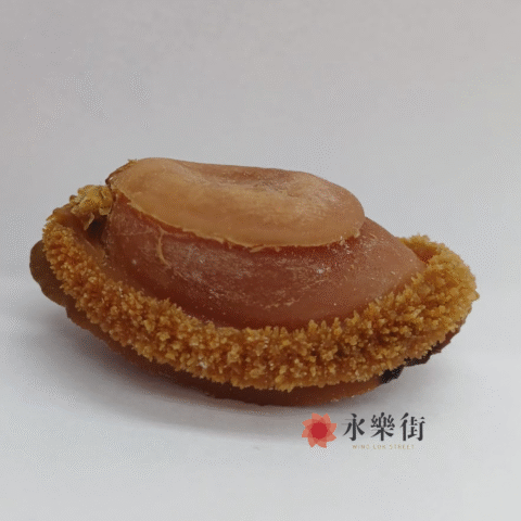 南非鮑魚 ( 3-4 頭 )