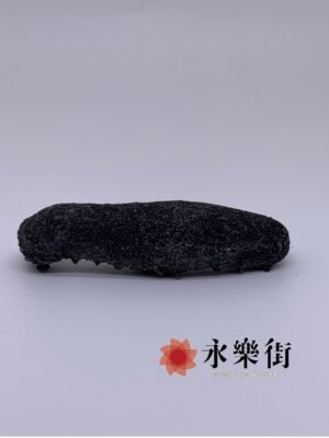 日本關西遼參(23-28枝 )