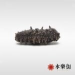 日本關東枝幸遼參130-150枝