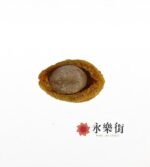 南非(北部)野生網鮑 ( 5-7頭 )