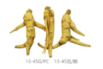Vigorwell 5年生散裝西洋參(1LB/454G/16OZ)