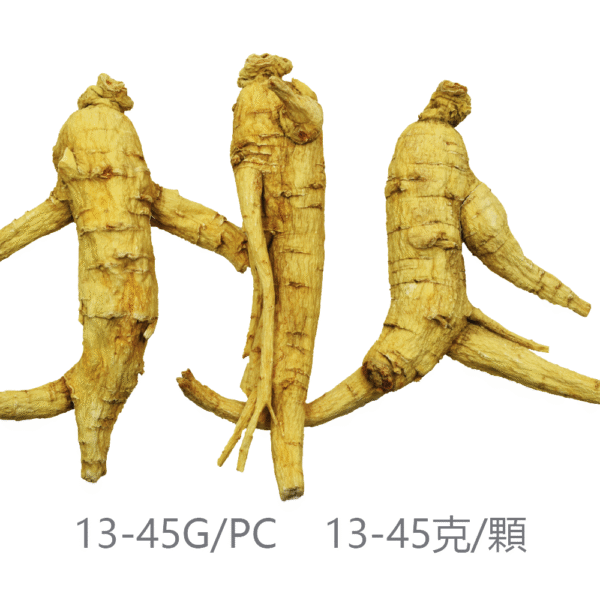 Vigorwell 5年生散裝西洋參(1LB/454G/16OZ)