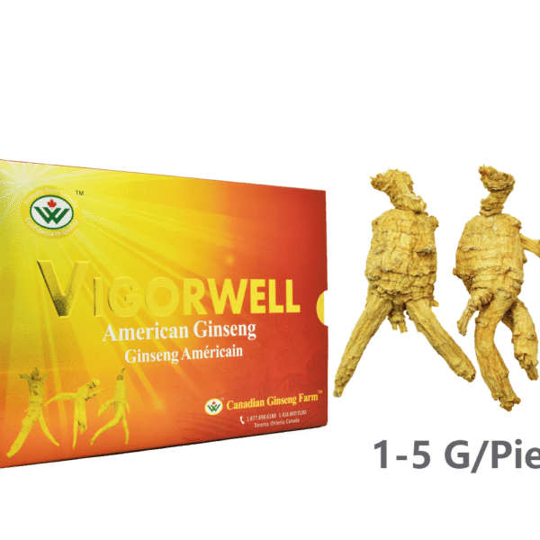 Vigorwell 特級特大圓參 (227克/8.0盎司)